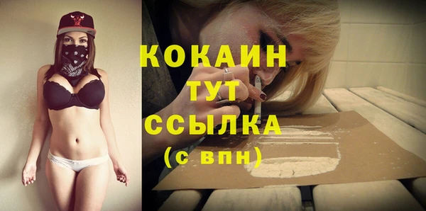 прущие грибы Покачи