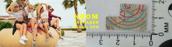 прущие грибы Покачи